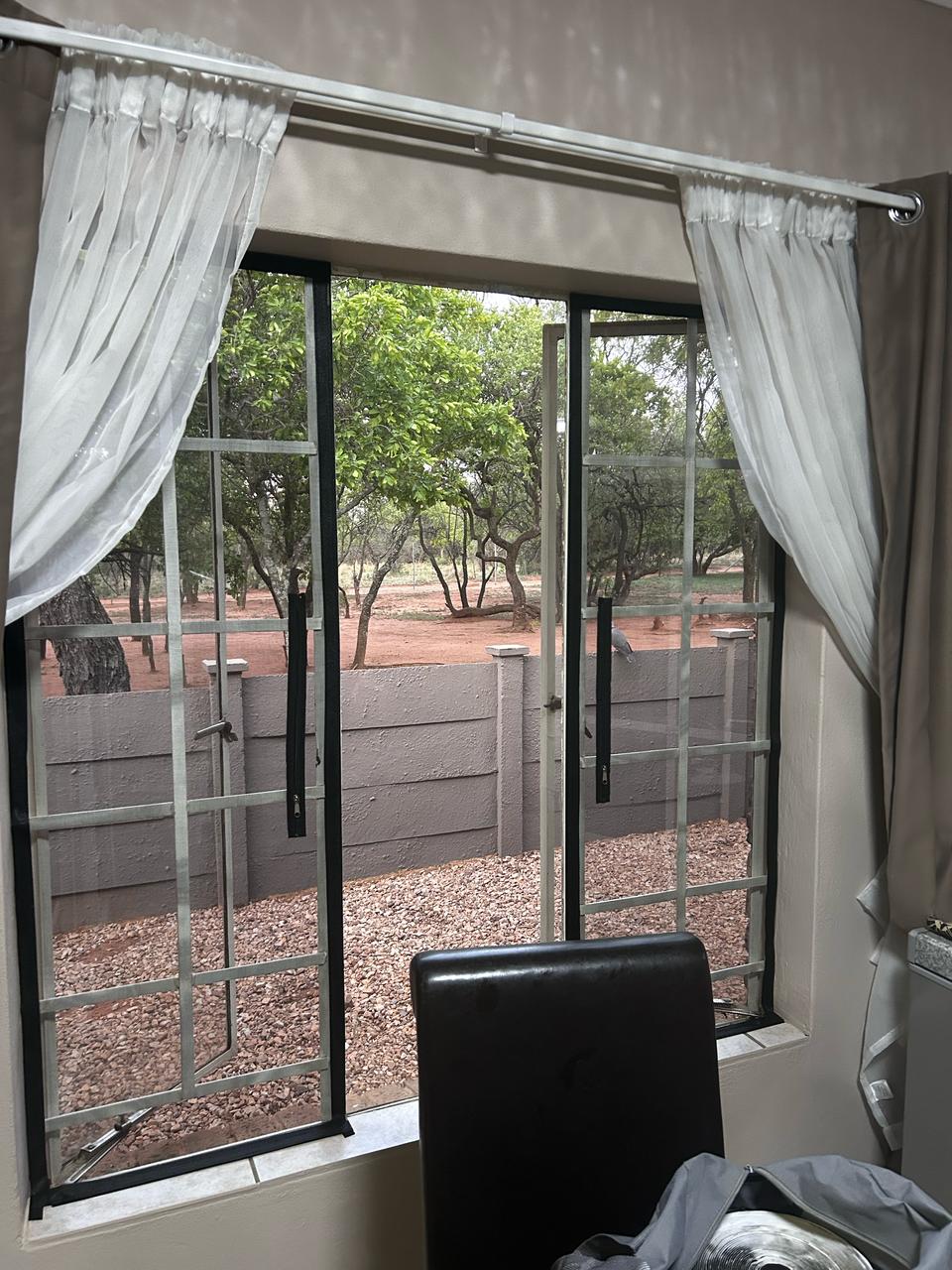 Living Room Windows